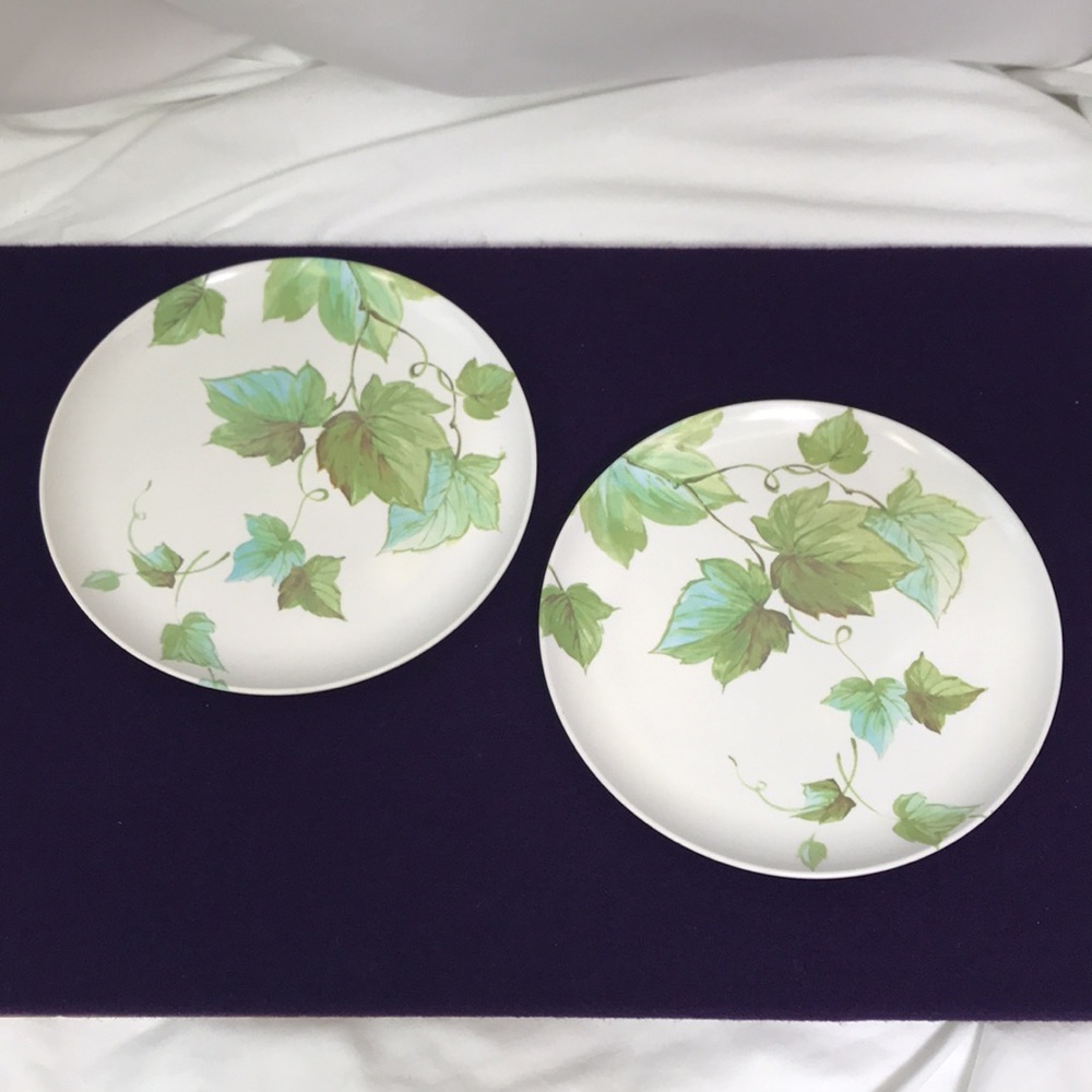 Vintage 15 Piece Melamine Dish Plates Set ~ Ivy - Picture 2 of 11